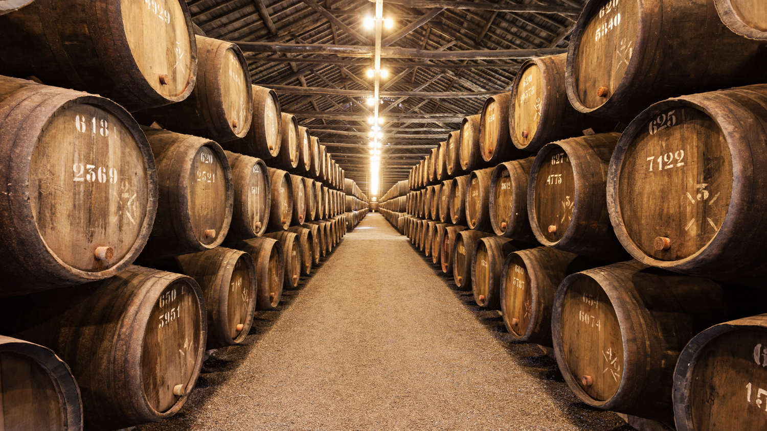 How Science is Rewriting the Rules of Wine | Controlled Micro-Oxygenation in Wine Aging