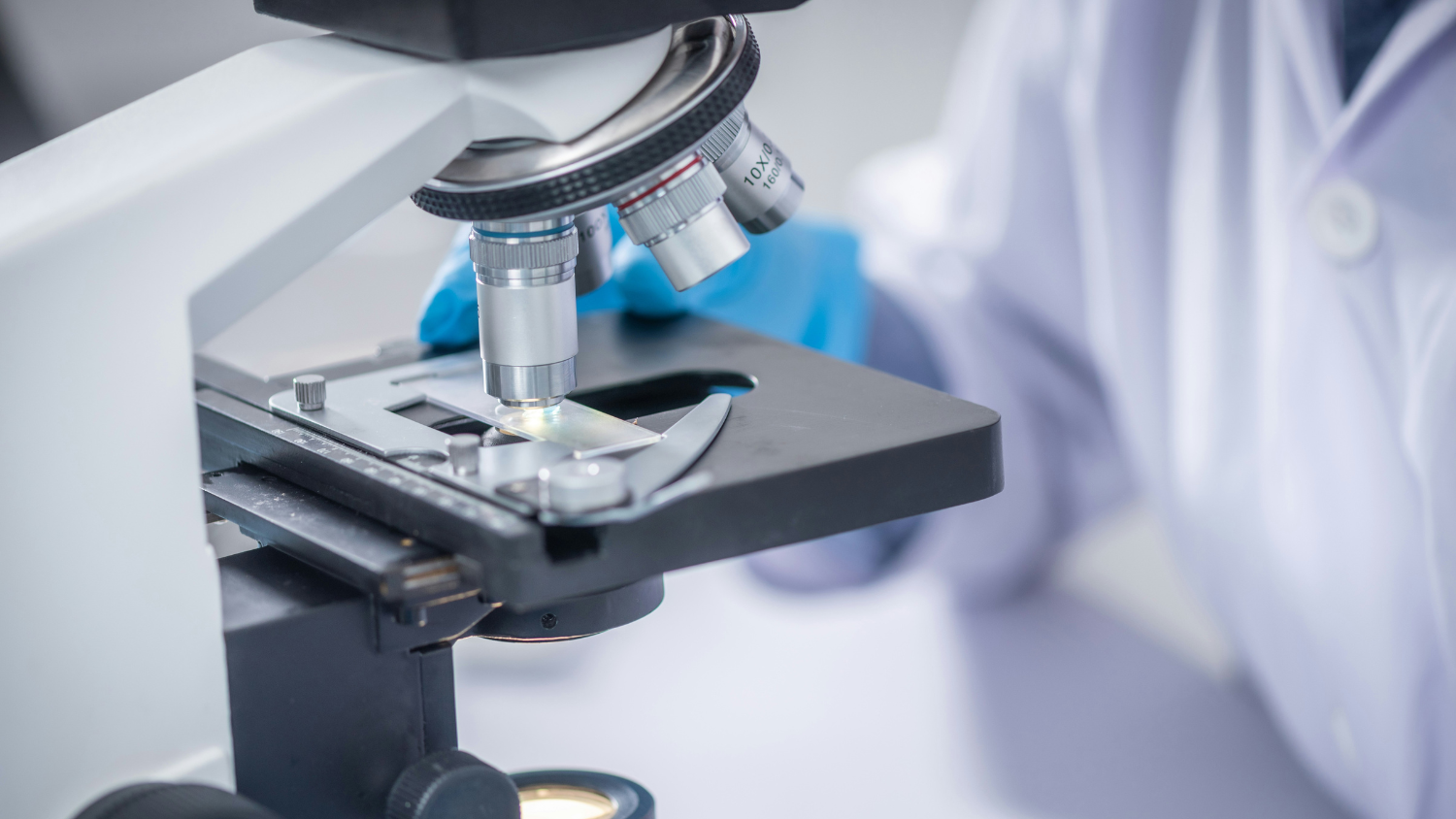 Perovskite Solar Cells and Optoelectronics 