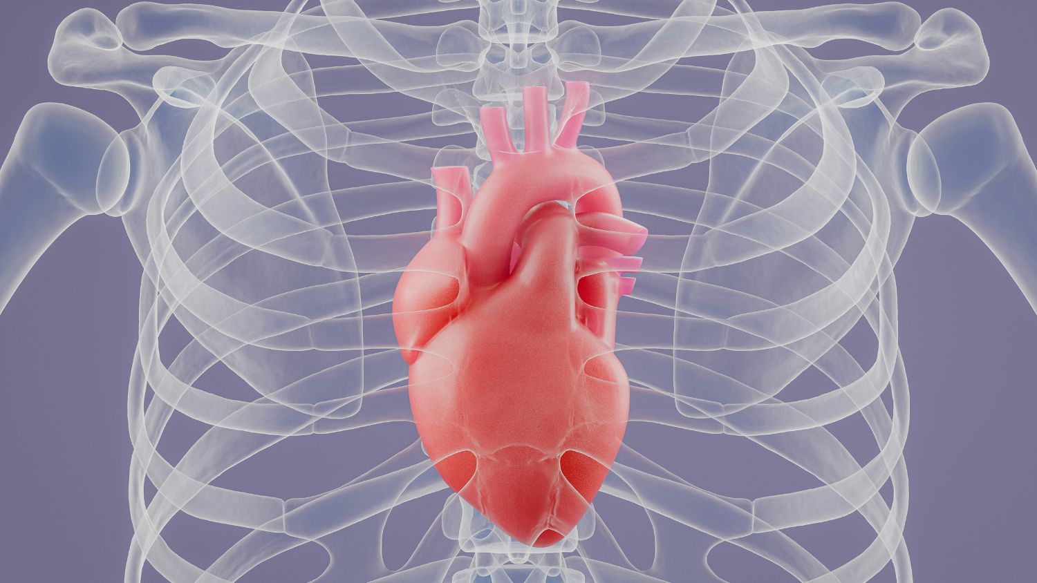 Cell Adhesion Governs Cardiac Signal Fidelity in Printed Organic Transistors