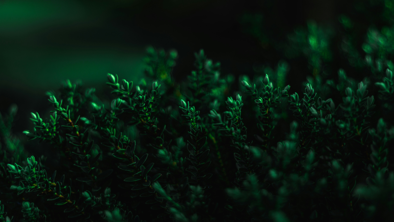 Green Nanotechnology: Pioneering Sustainable Solutions in Materials Science