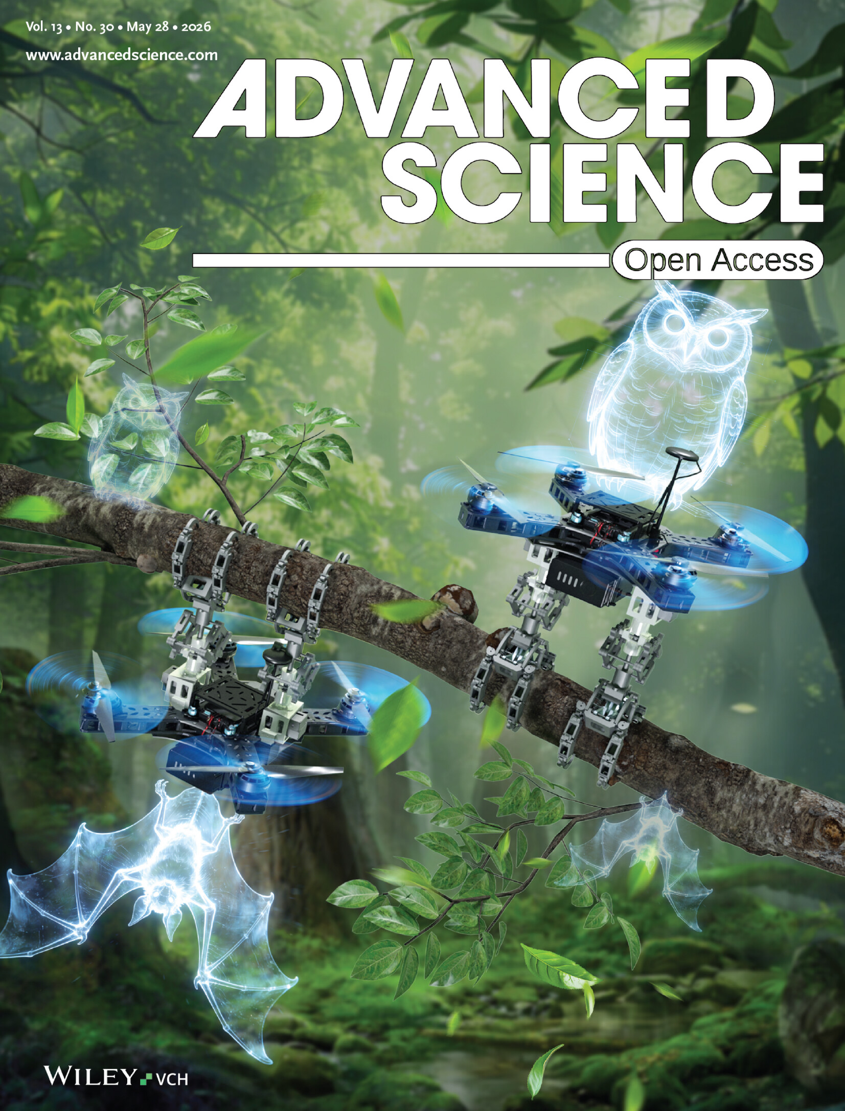 Beyond Transconductance: Cell-Polymer Coupling Determines Fidelity in Action Potential Recording via Electrolyte-Gated Polymer Transistors