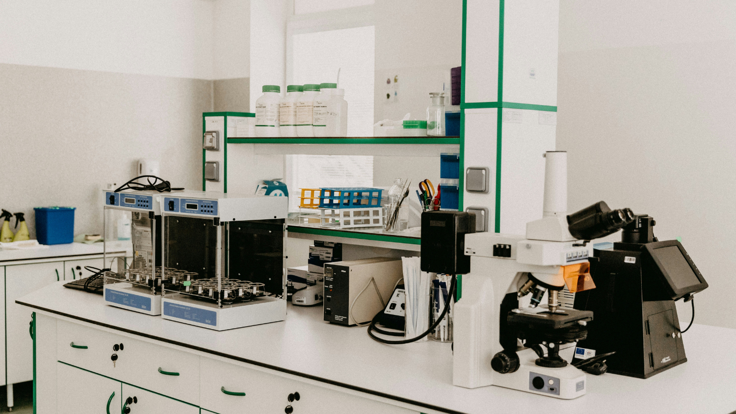 Spotlight on Bismuth: A Low-Toxicity Metal with Untapped Potential in Quantum Devices, Green Electronics, and Medical Imaging