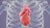 Cell Adhesion Governs Cardiac Signal Fidelity in Printed Organic Transistors