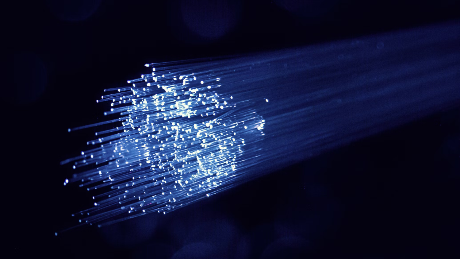 PDMS Optical Fibers in Optogenetics: Supporting Breakthroughs in Biocompatible Light Delivery