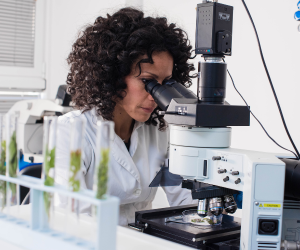 Bio-ingénierie et production alimentaire